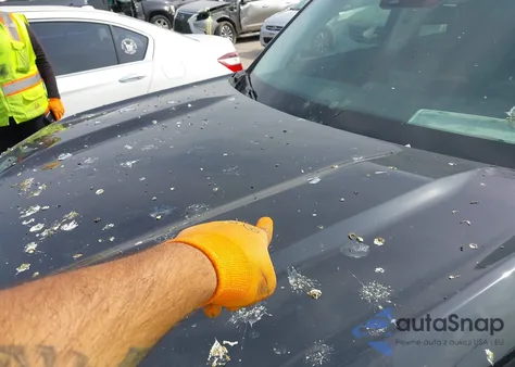 2021 Ford Bronco Sport Badlands from USA, damaged, VIN 3FMCR9D98MRB36121